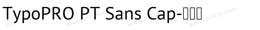 TypoPRO PT Sans Cap字体转换